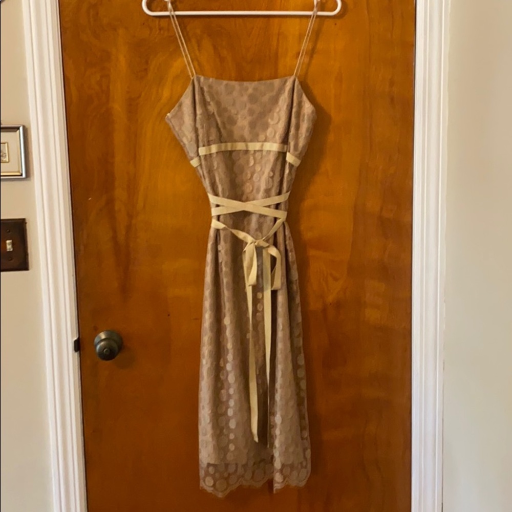 J.Crew | Champagne lace knee-length cami dress 🥂